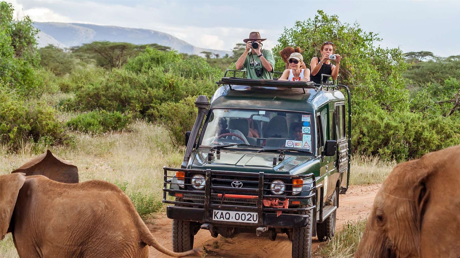 Ölümcül Safari