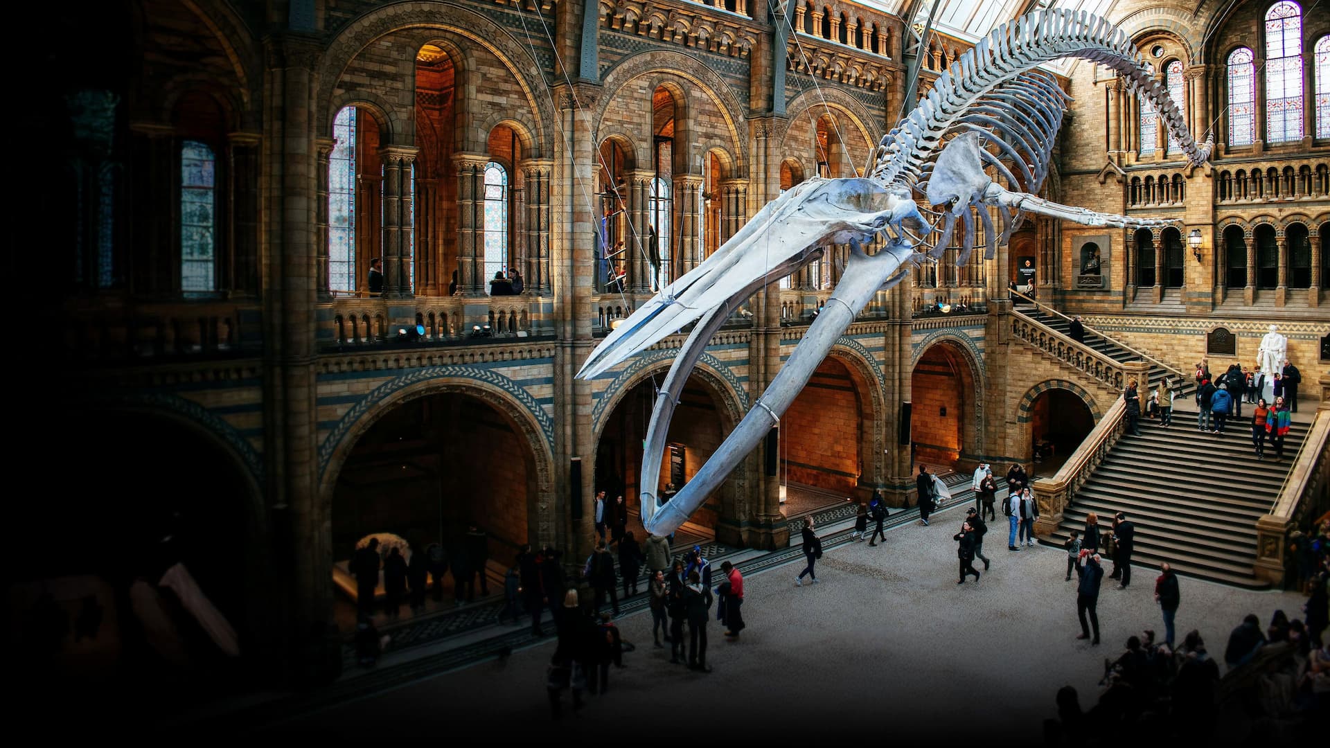 Natural History Museum: World of Wonder
