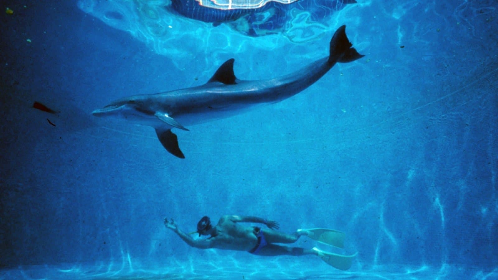 Derinlik Sarhoşluğu