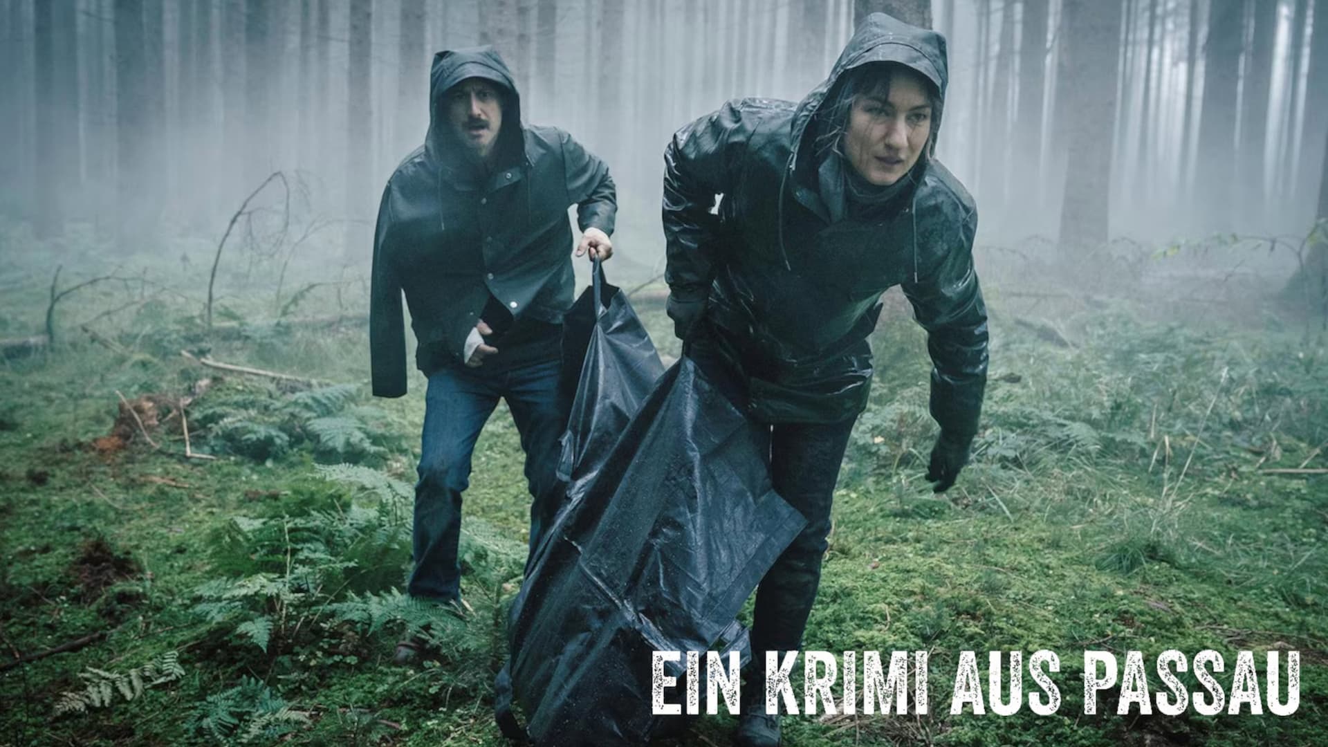 Die Donau ist tief - Ein Krimi aus Passau