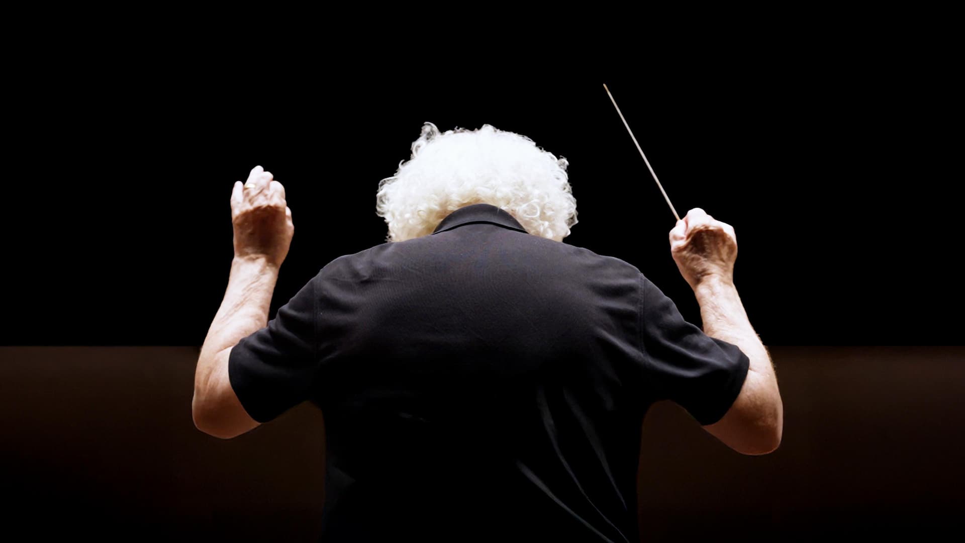 Simon Rattle - Vom Glück des Dirigierens