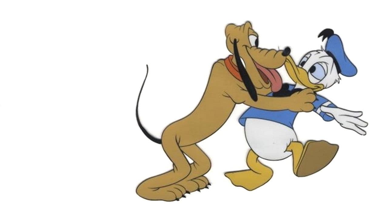 Bu Senin Hayatın Donald Duck