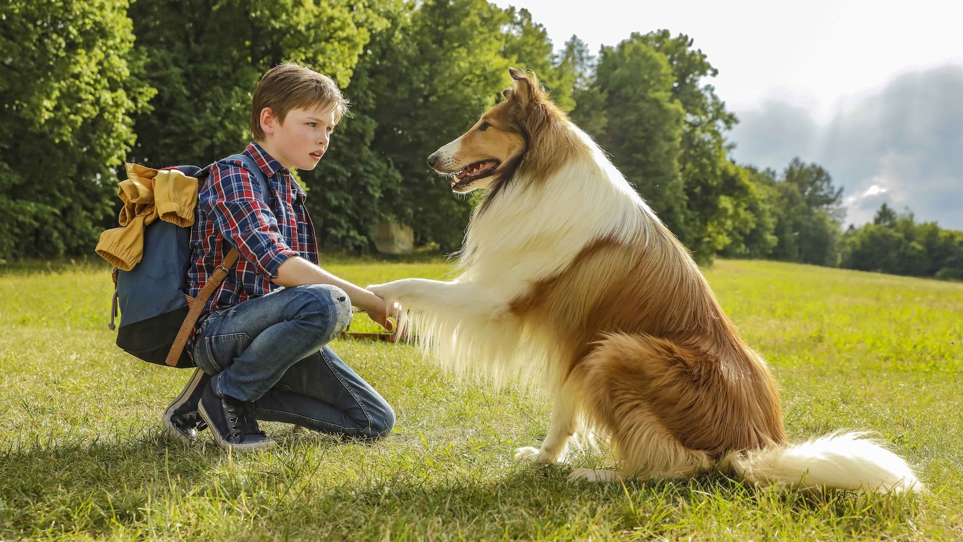 Lassie Eve Dön