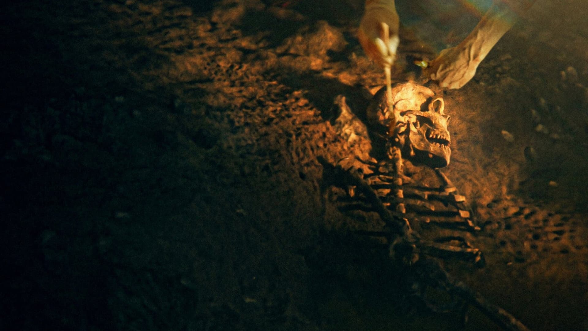 Neandertallerin Sırları