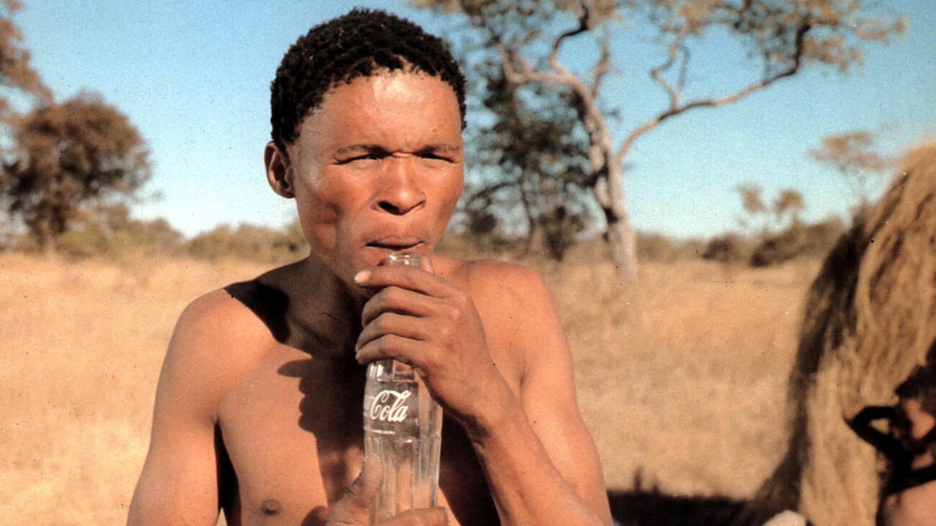 Tanrılar Çıldırmış Olmalı