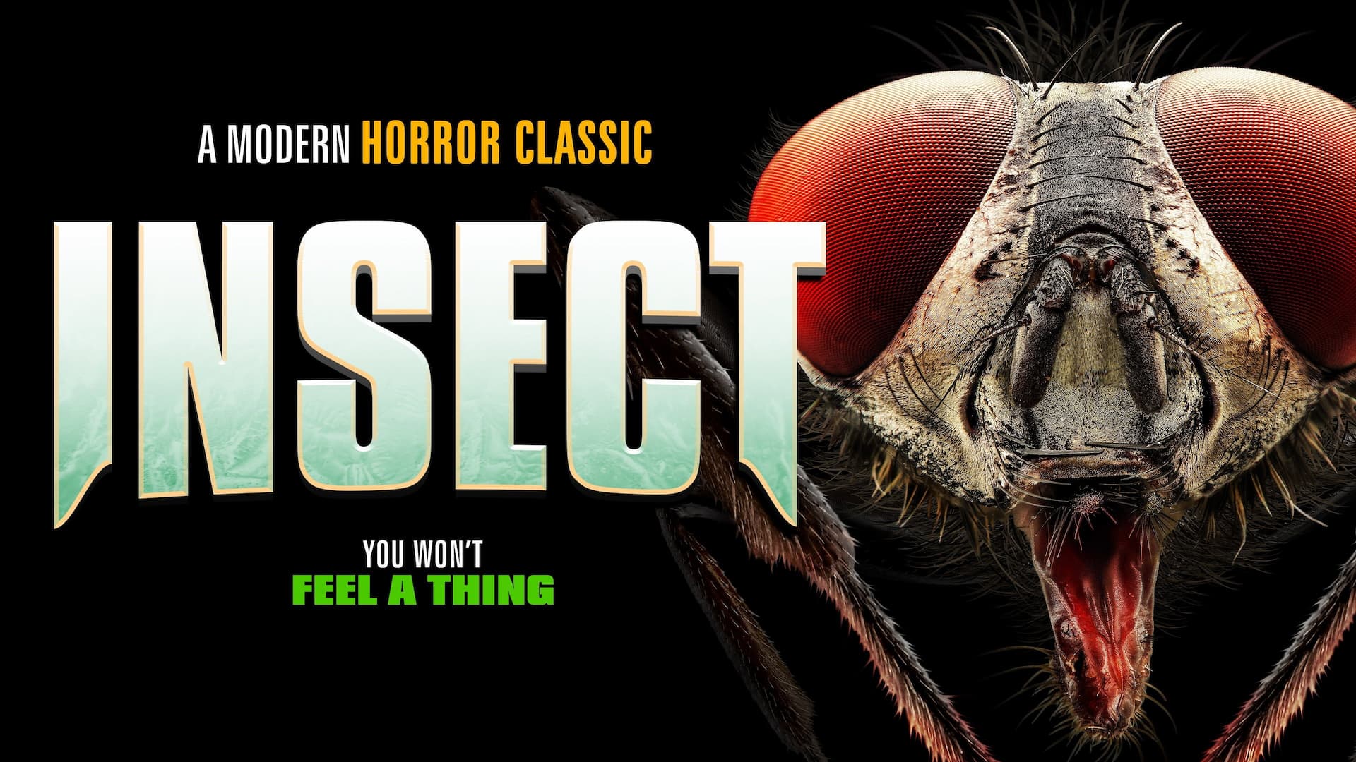 Insect
