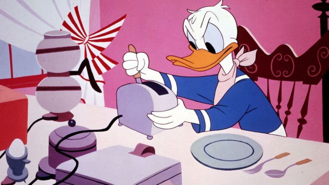 Evde Kaza Nasıl Yapılır?