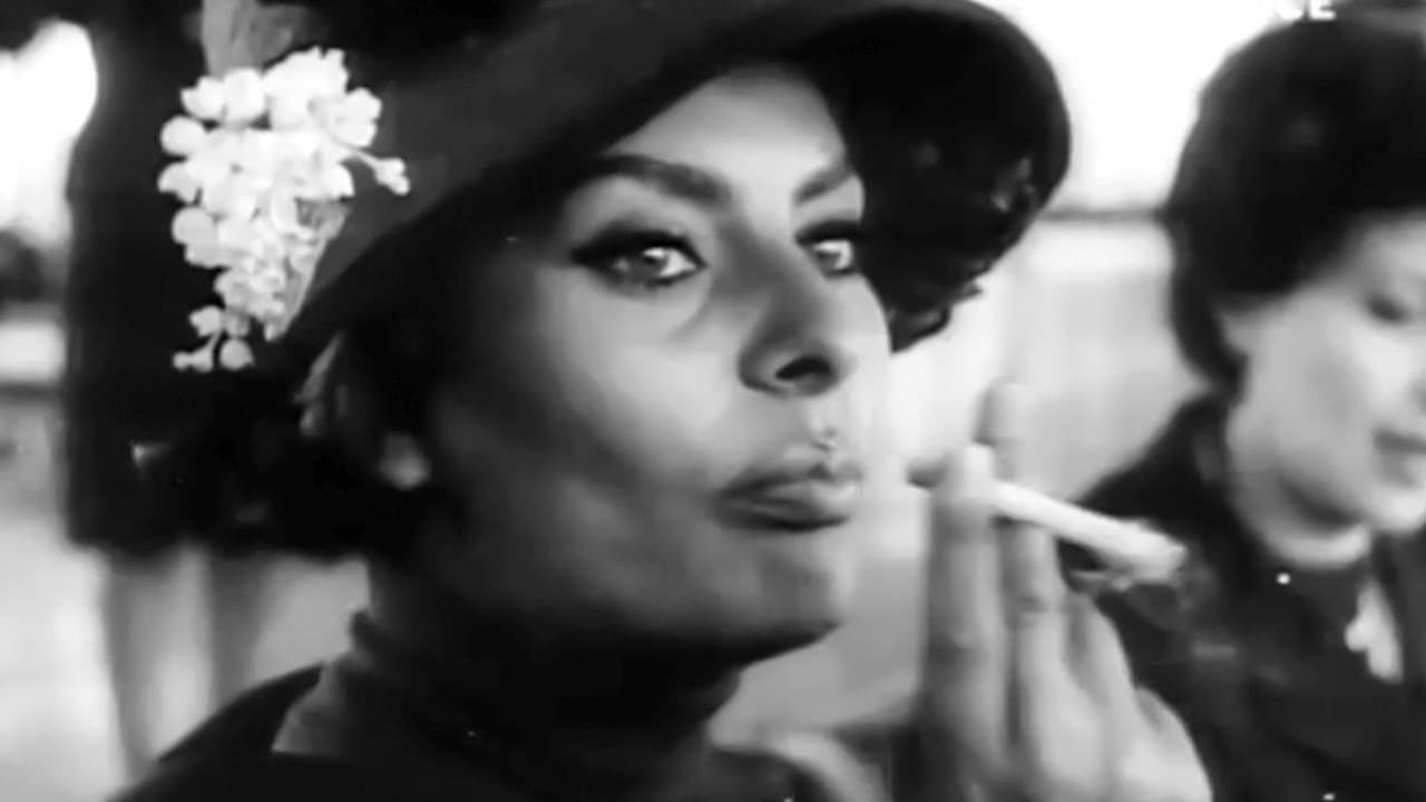 Sophia'nın Peşinde