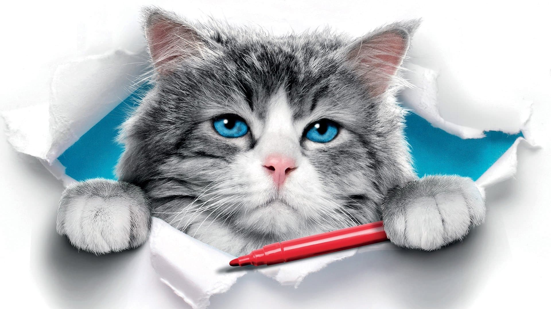 Dokuz Canlı Bay Tüylü