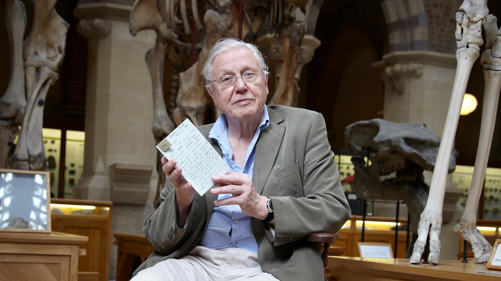 David Attenborough ile Sıradışı Canlılar