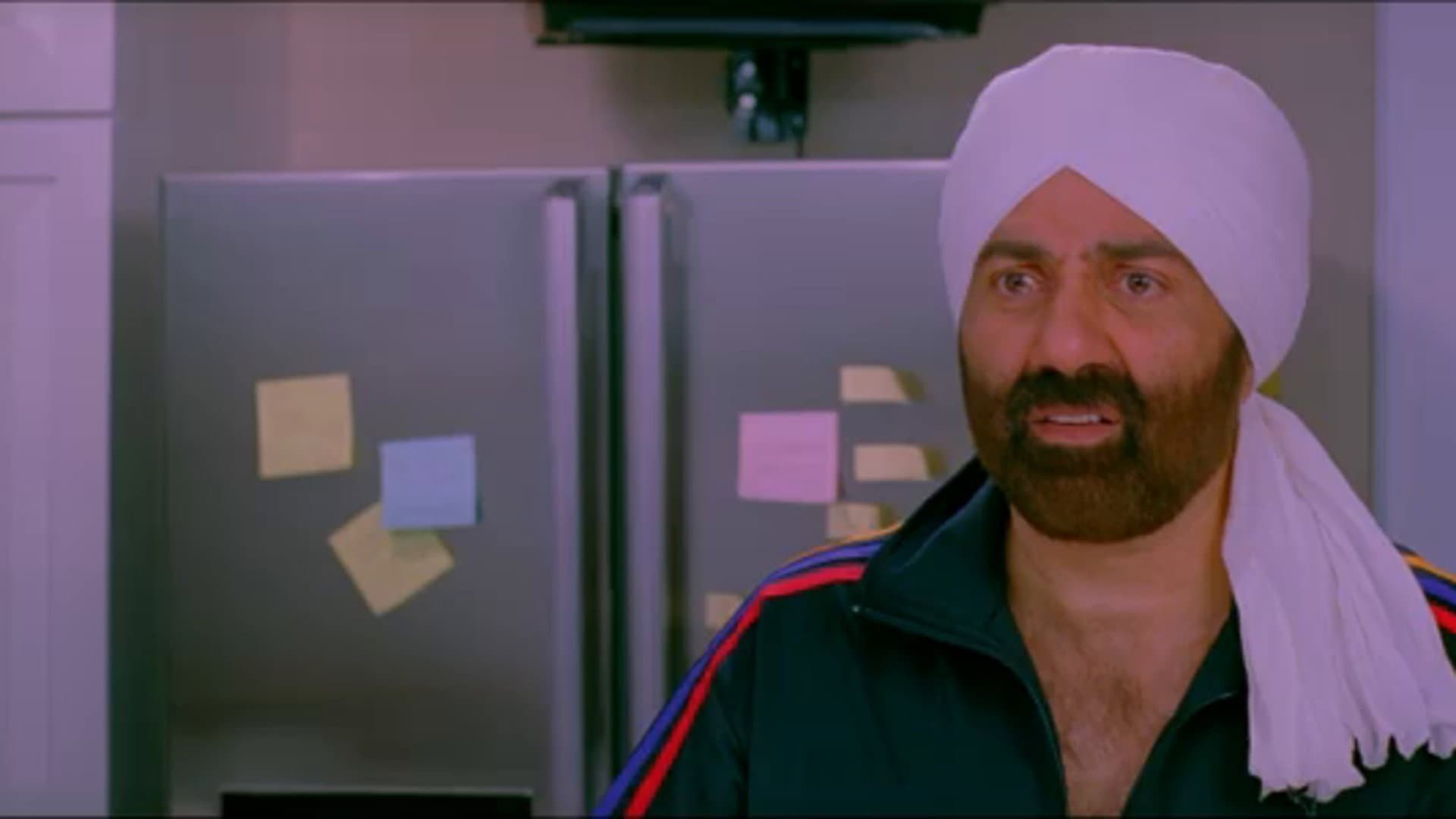 Çılgın Aile  / Yamla Pagla Deewana