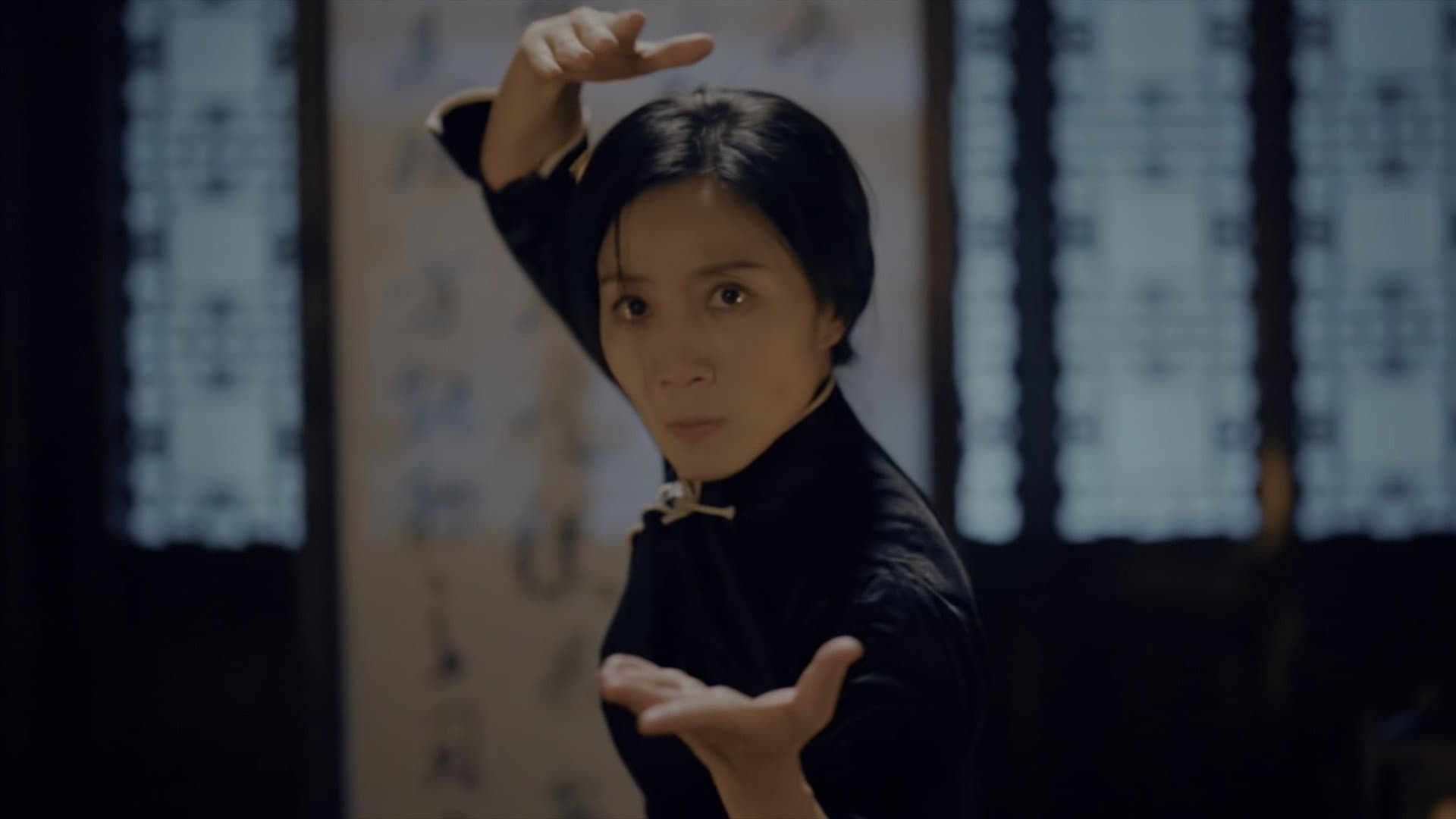 Ip Man Kung Fu Efsanesi