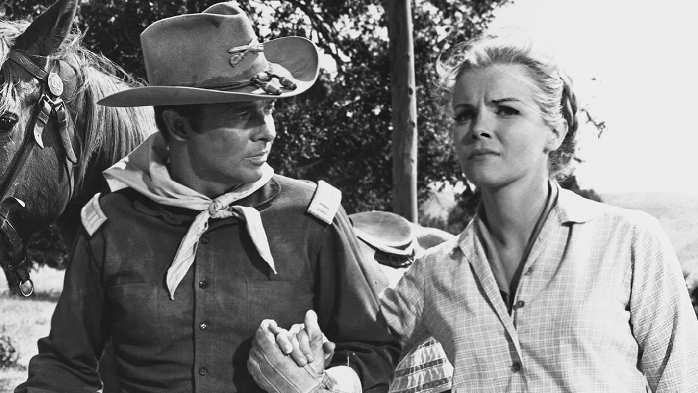 Apaçi Geçidinde 40 Tüfek