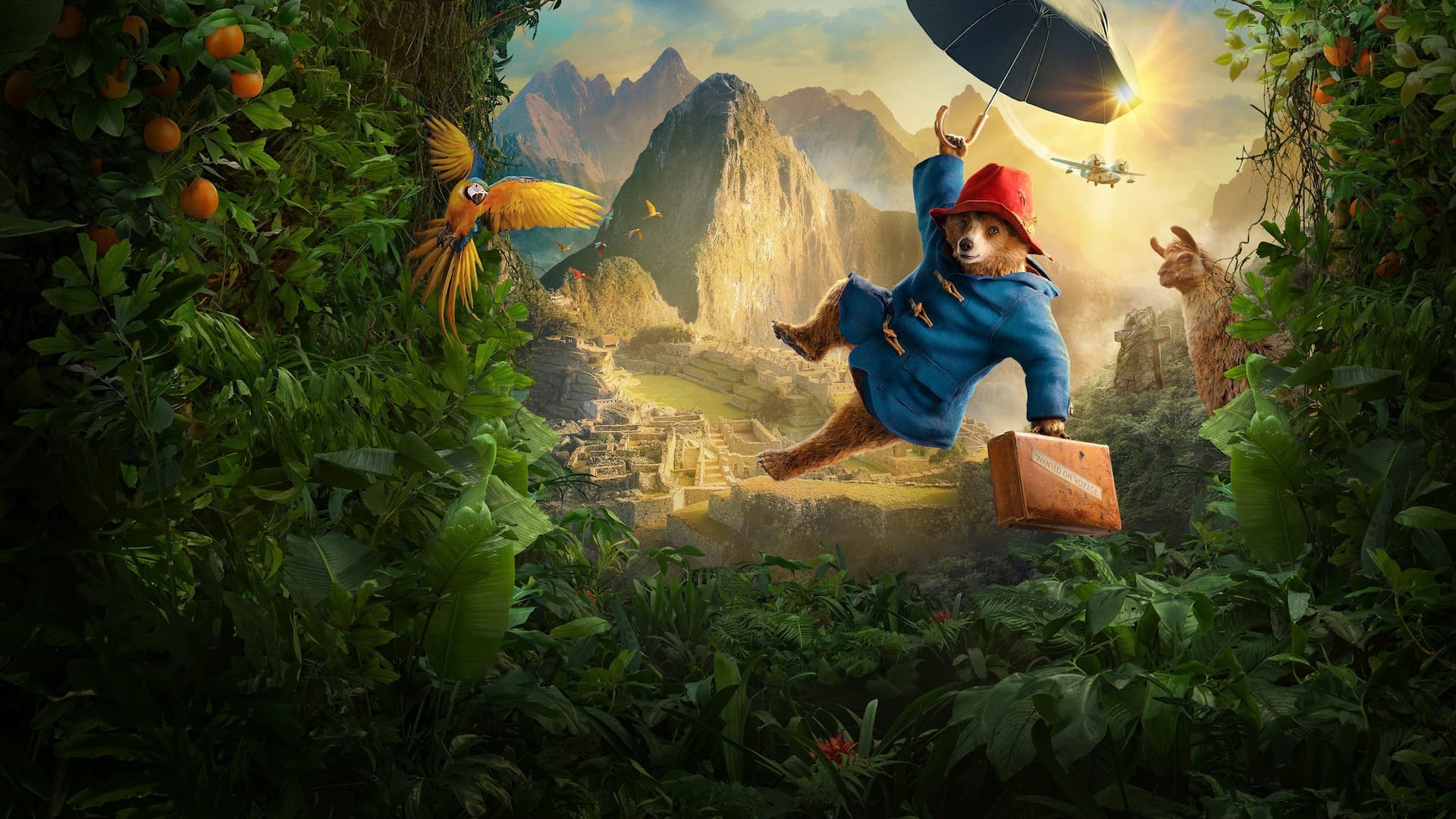 Ayı Paddington: Ormanda Macera