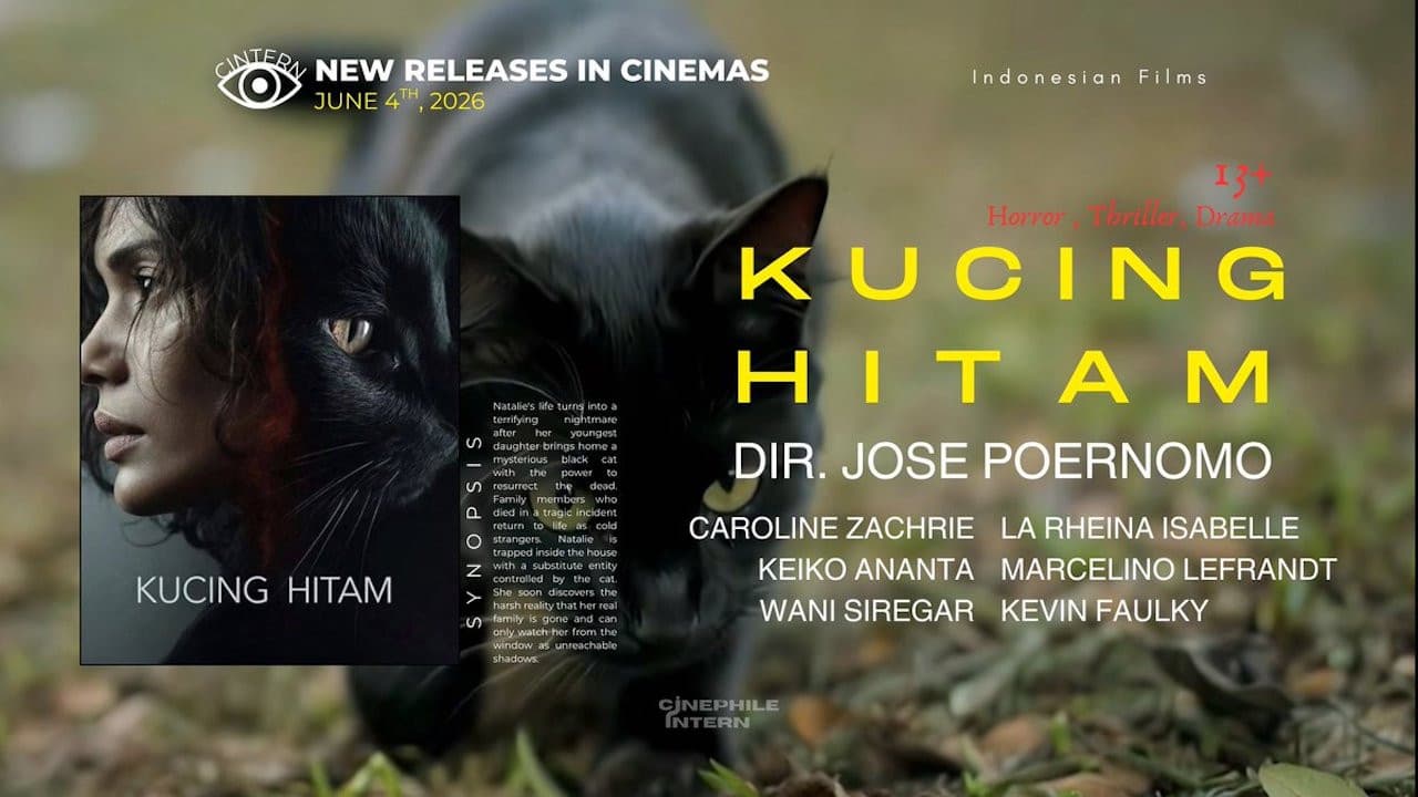Kucing Hitam