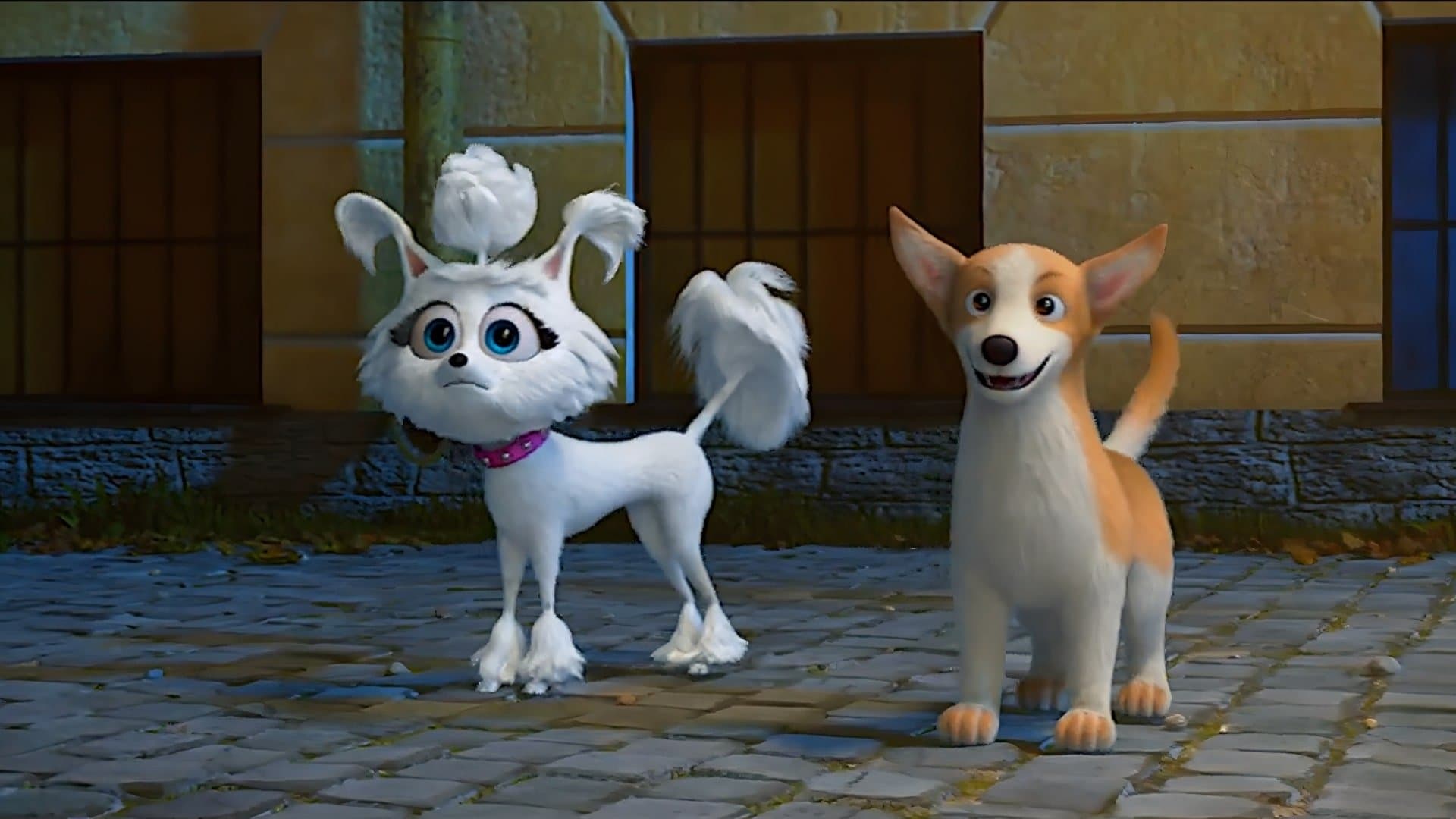 Köpekler Firarda