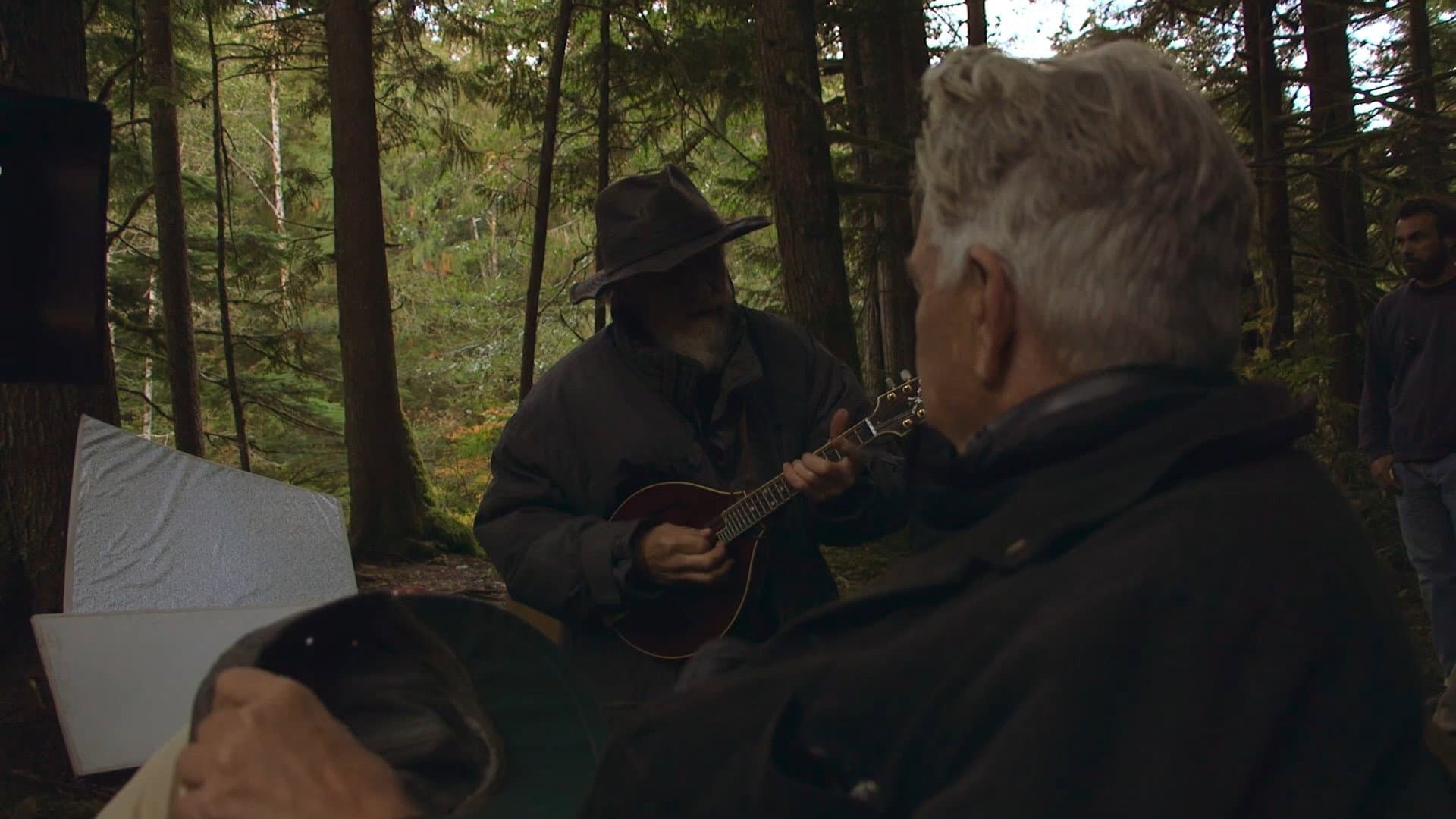 The Man with the Gray Elevated Hair