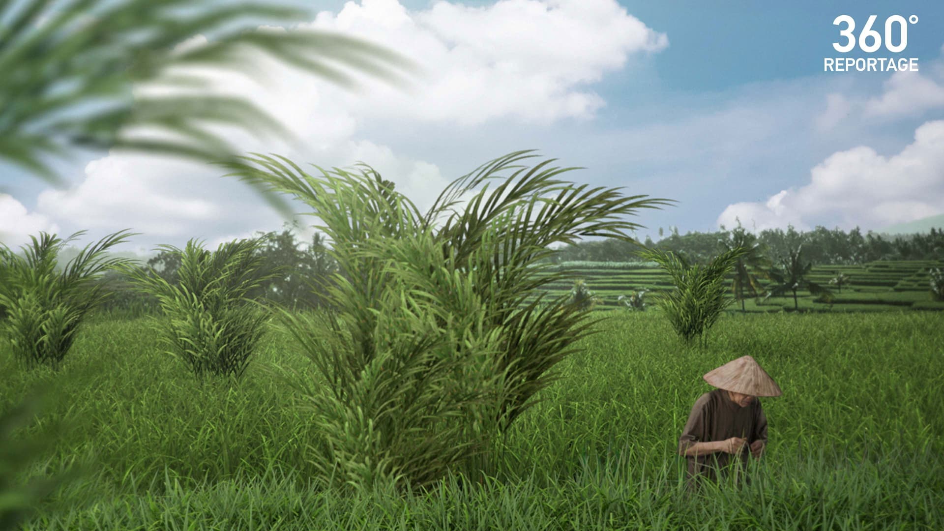 ARTE 360° Reportage