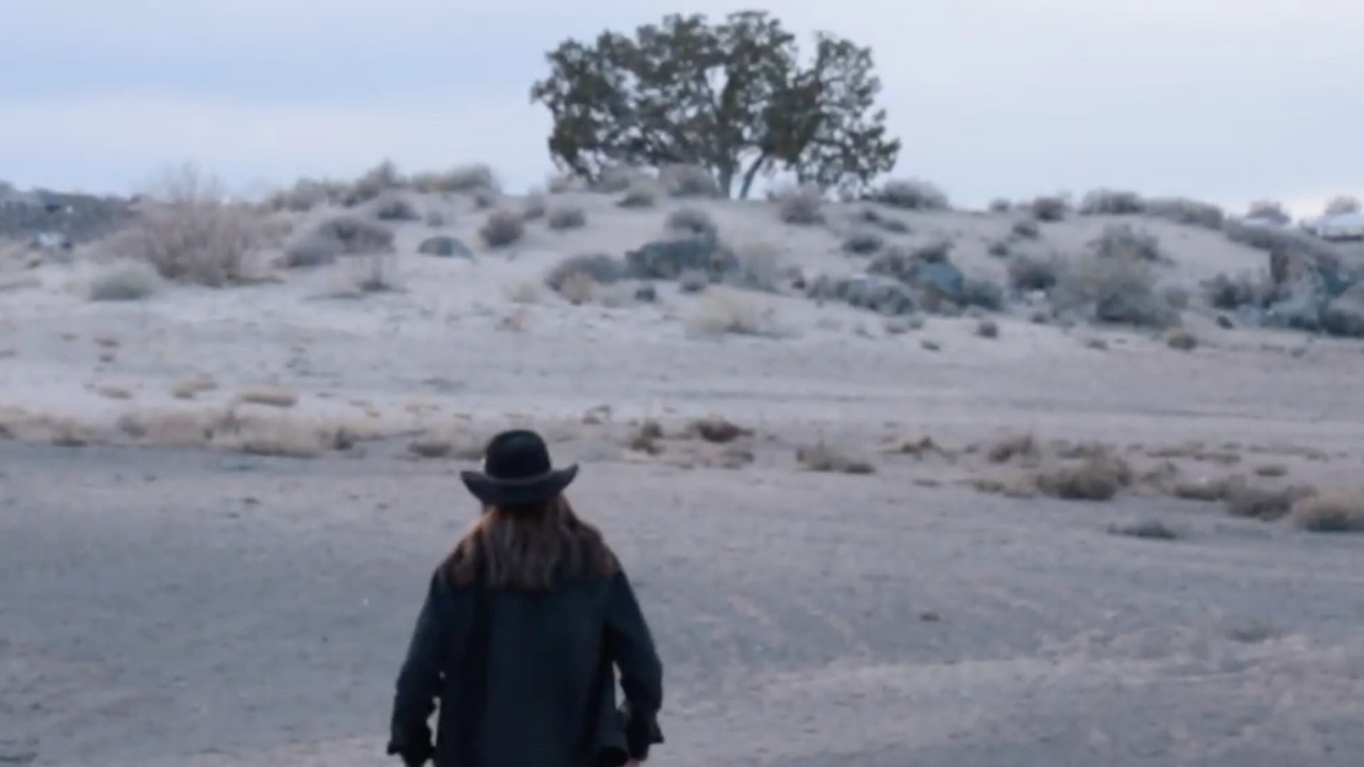 Man in the Mesa