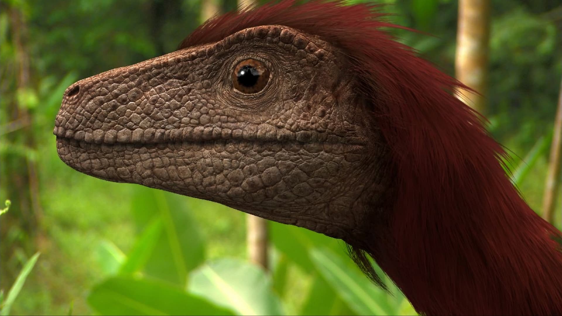 Dinosaur Planet