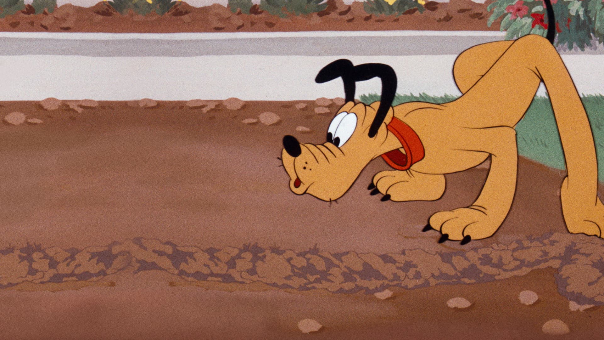 Pluto ve Sincap