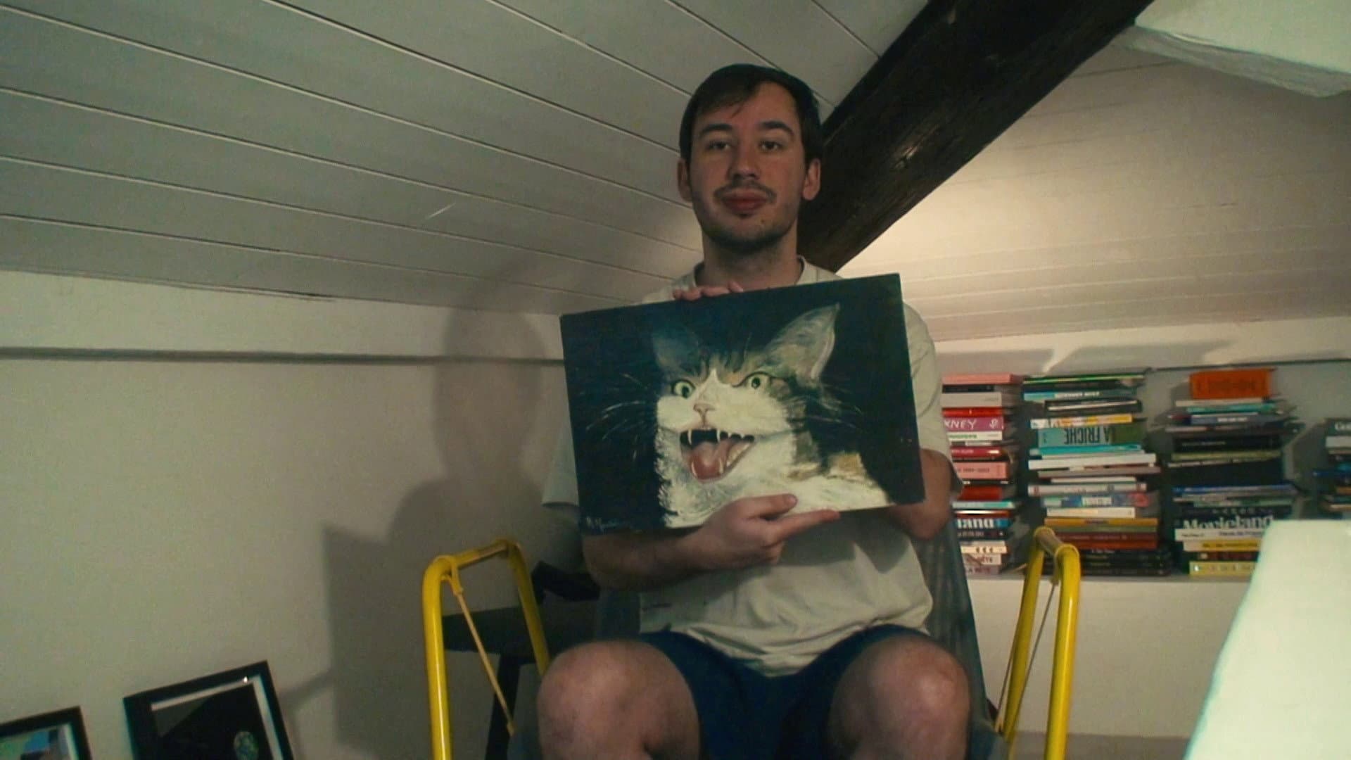 How To Save A Cat?