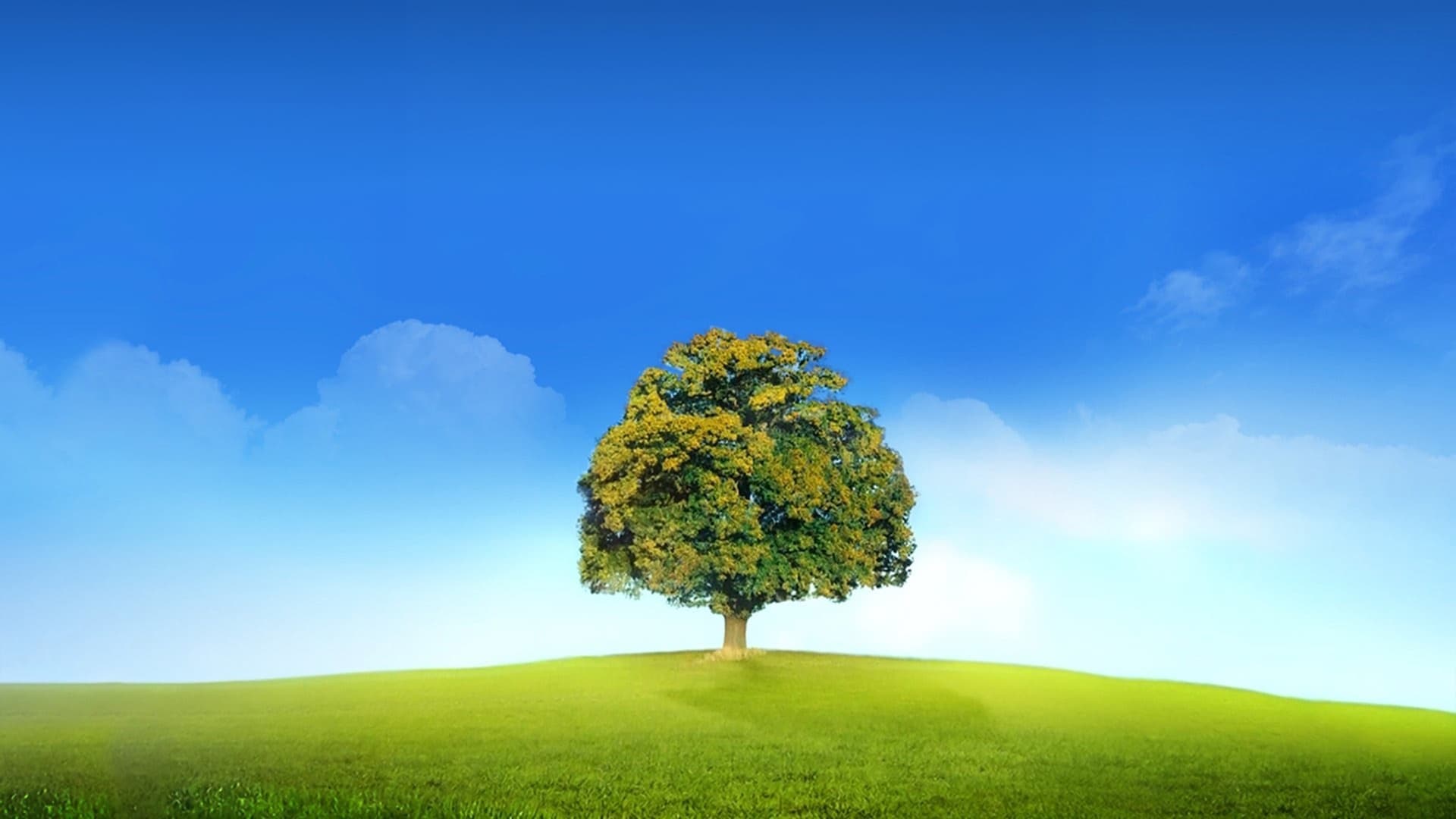 Kim Olduğunu Sanıyorsun?