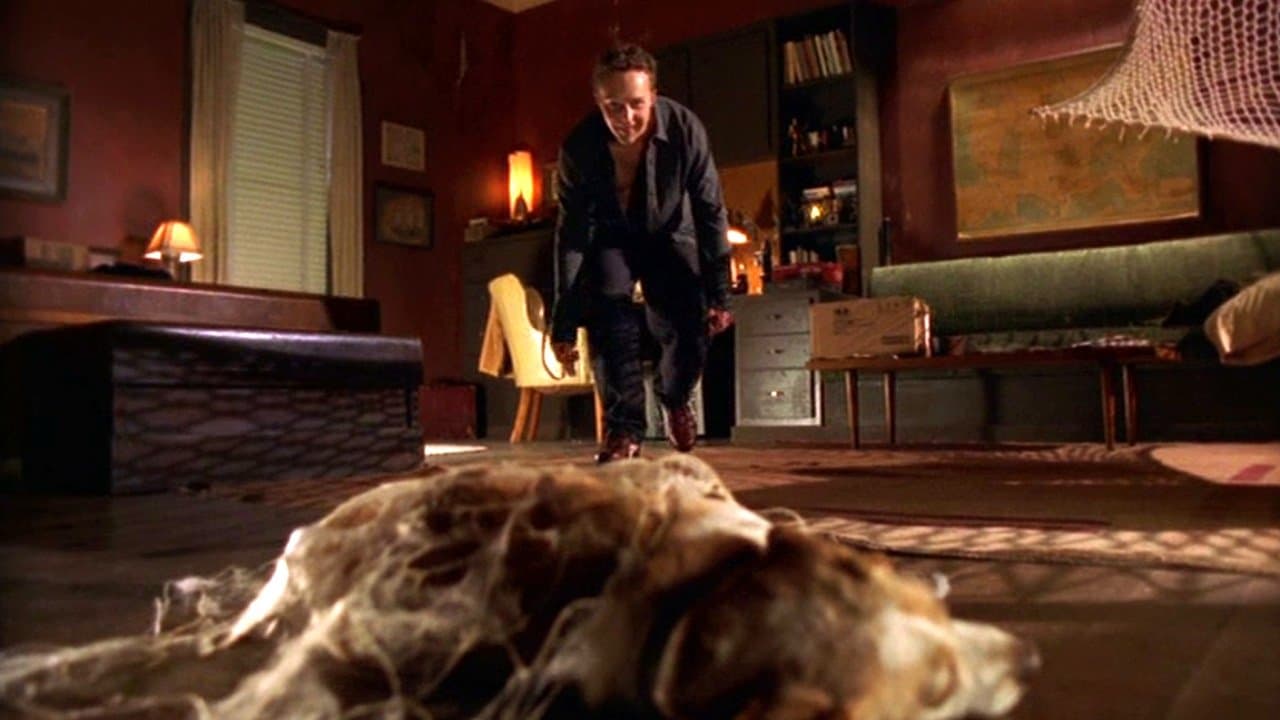 Dünya Örümceğe Karşı