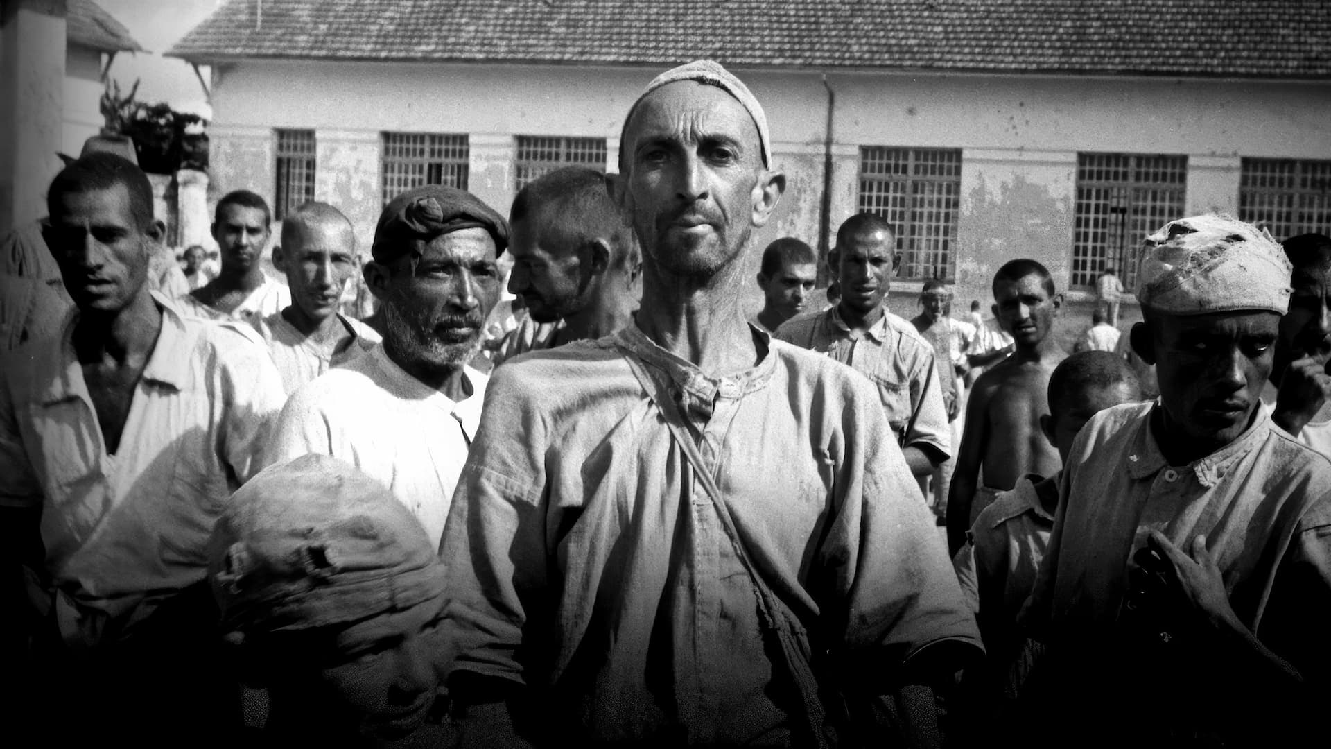 Holocausto Brasileiro