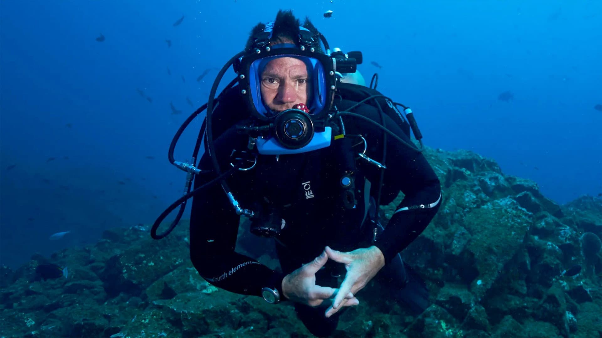 Canavarlarla Yüzmek: Steve Backshall