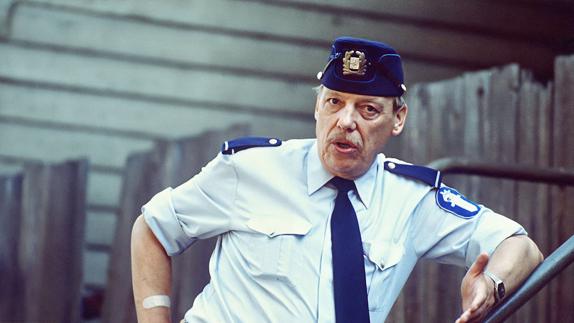 Reinikainen