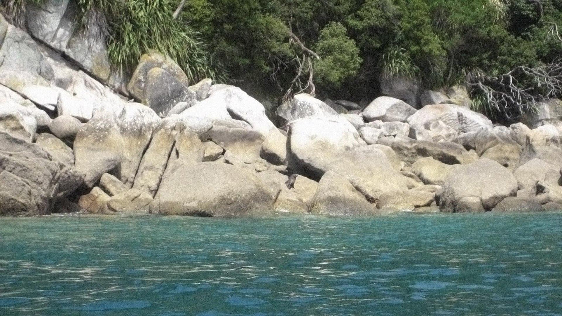 Cennetin Diğer Yakası