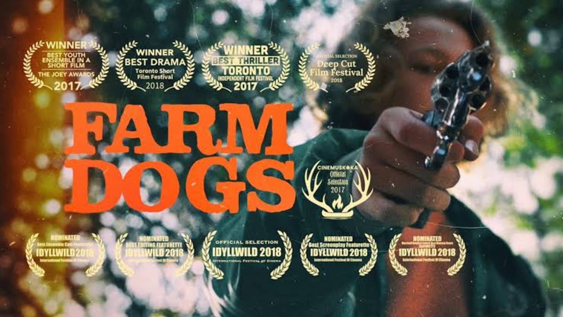 Farm Dogs
