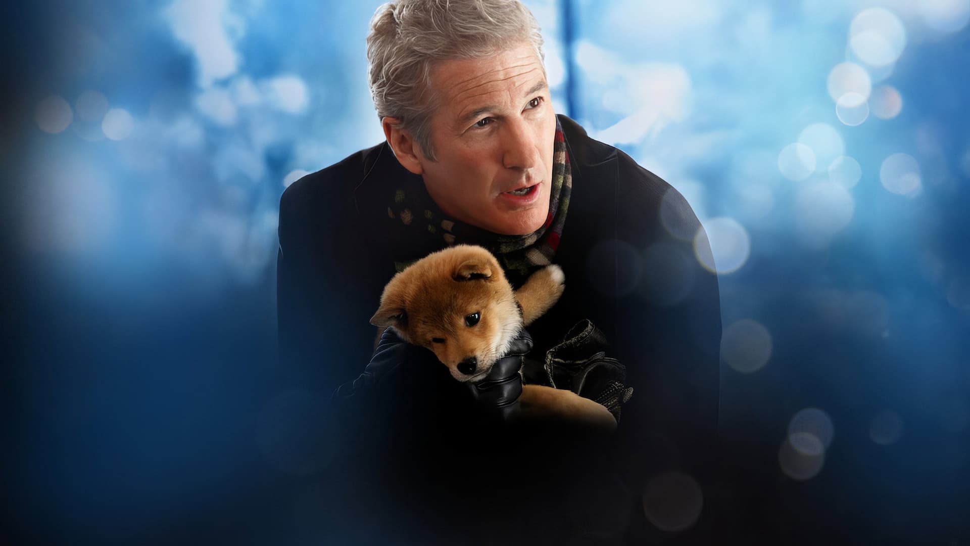 Hachi: Bir Köpeğin Hikayesi