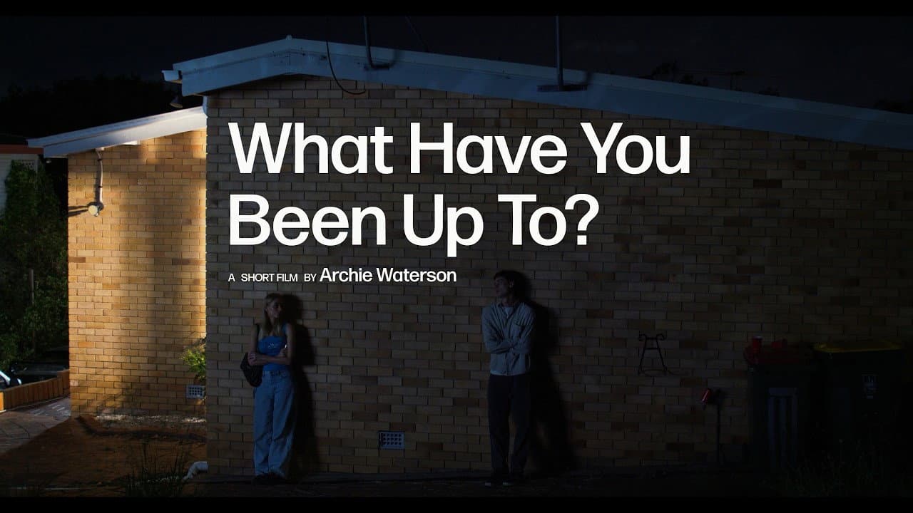 What Have You Been Up To?