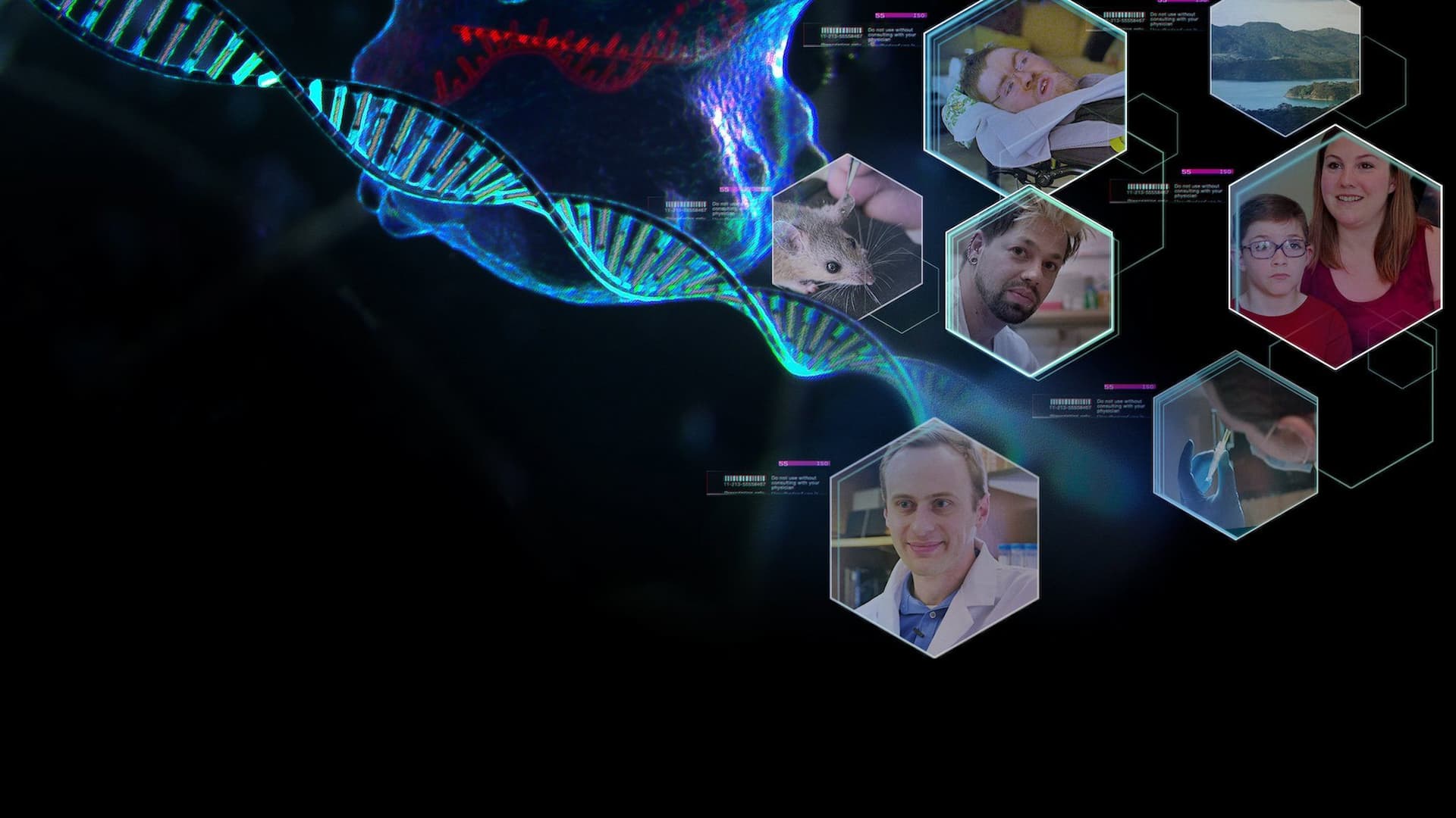 Doğal Olmayan Seçilim