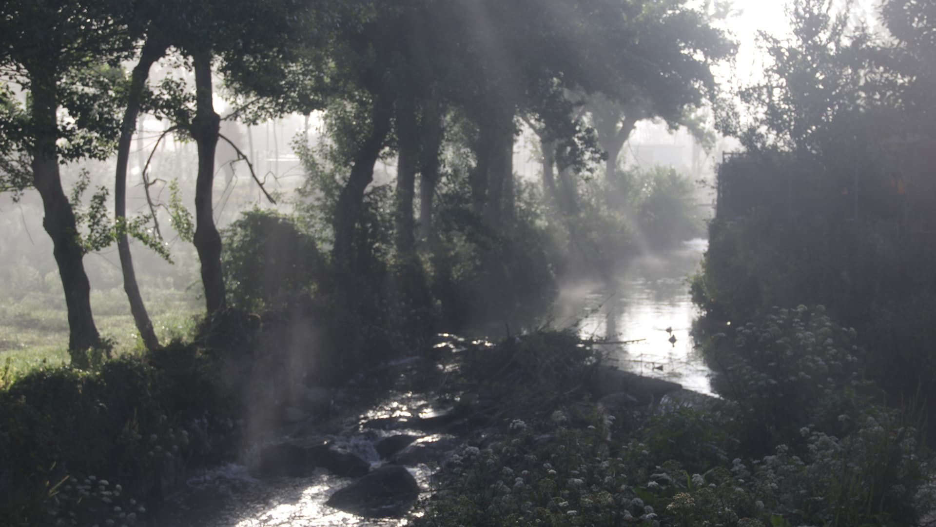 Rio Torto