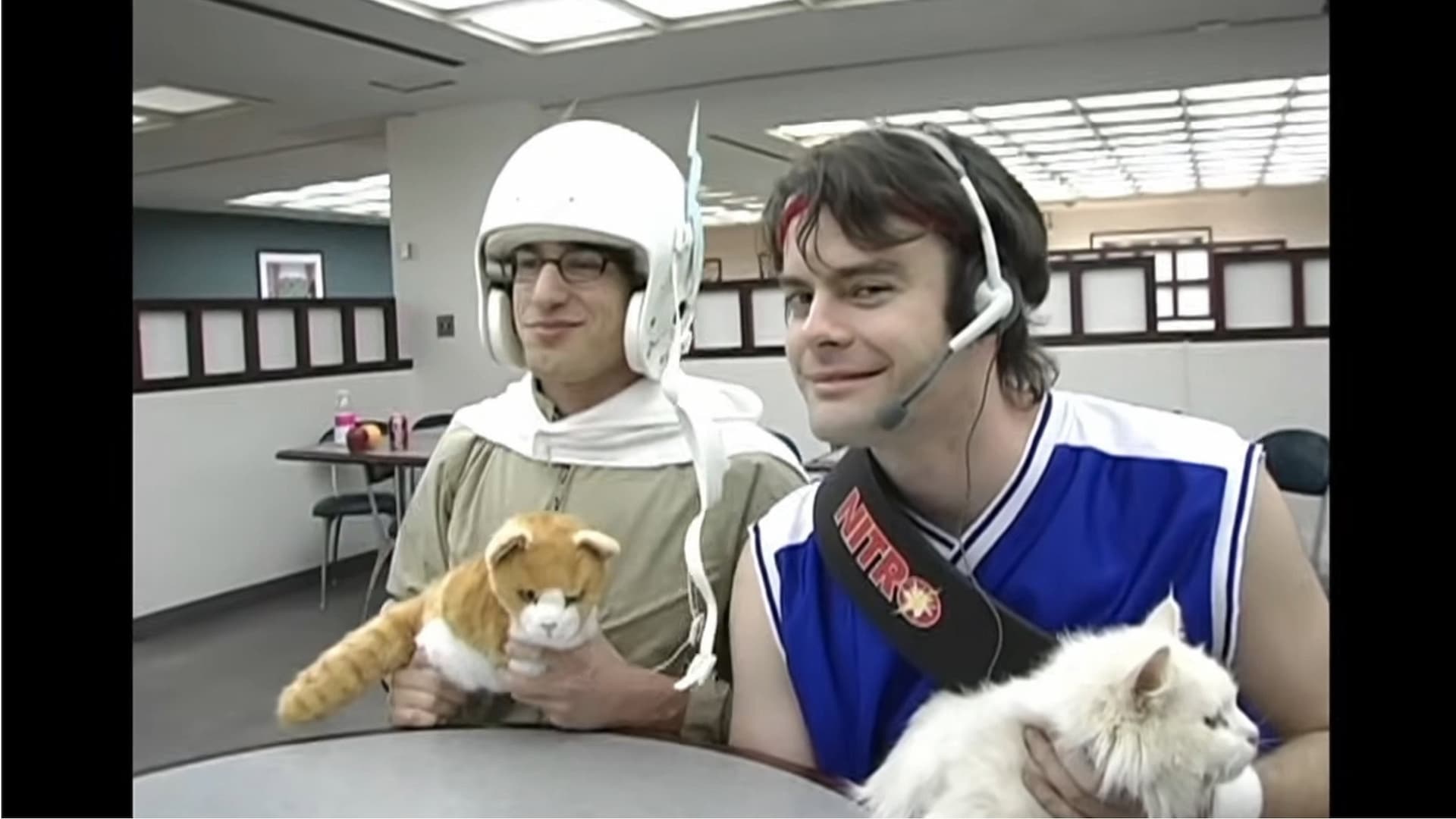 Laser Cats!