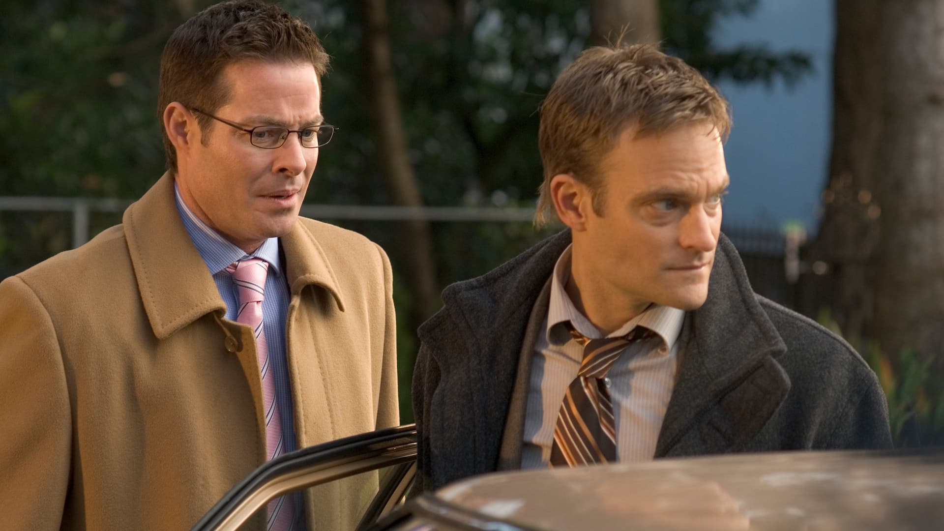 Ice Blues: A Donald Strachey Mystery