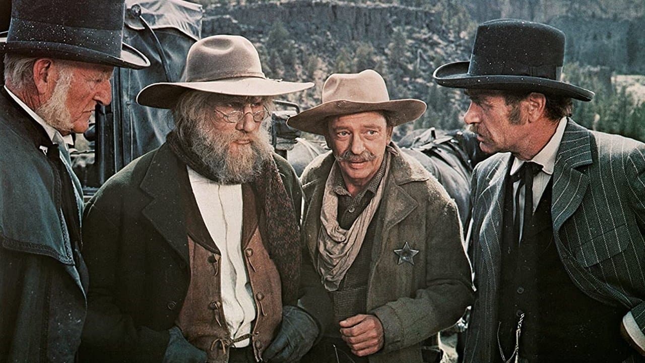 Çılgınlar Kasabası