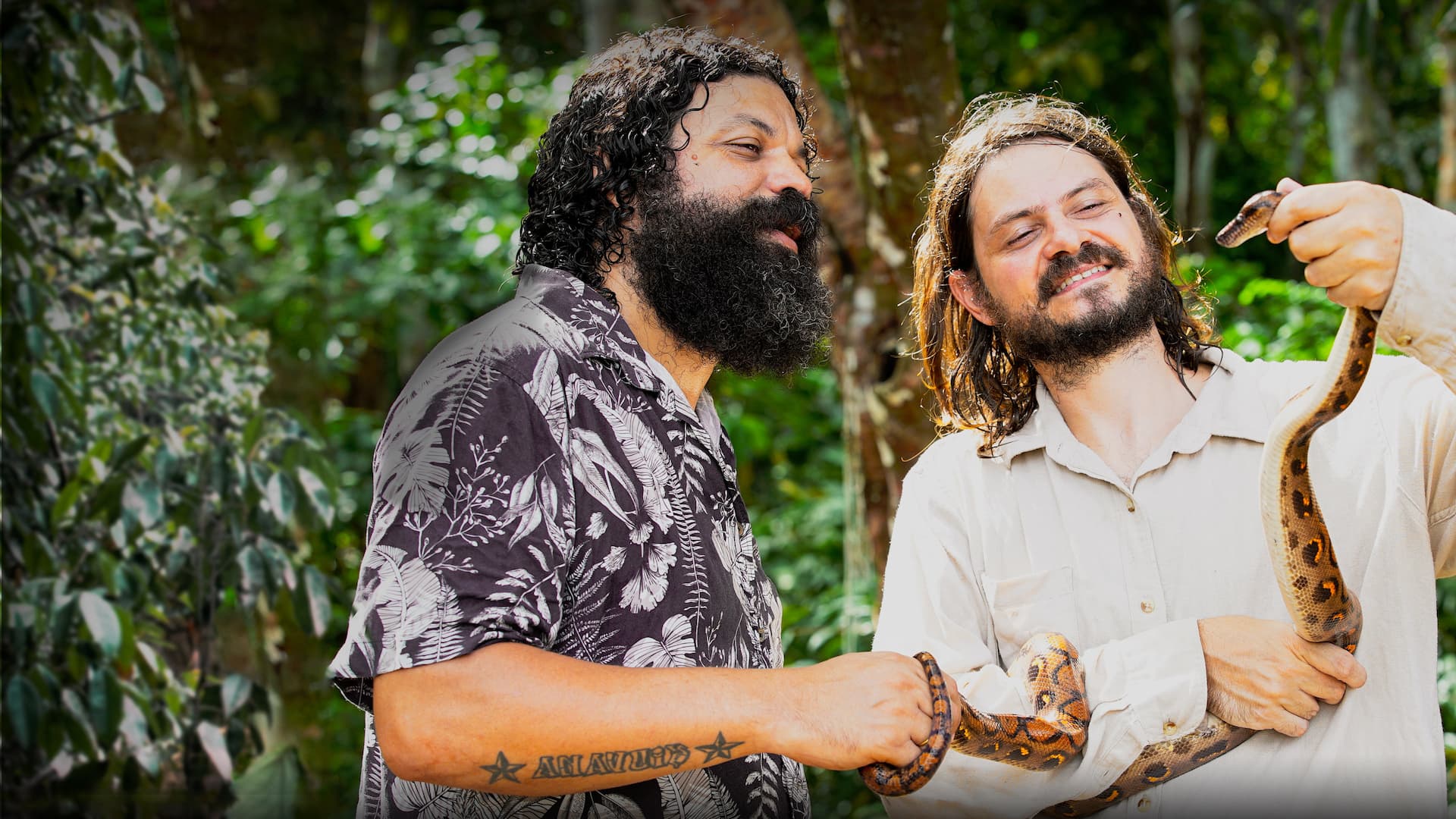 Em Busca das Cobras