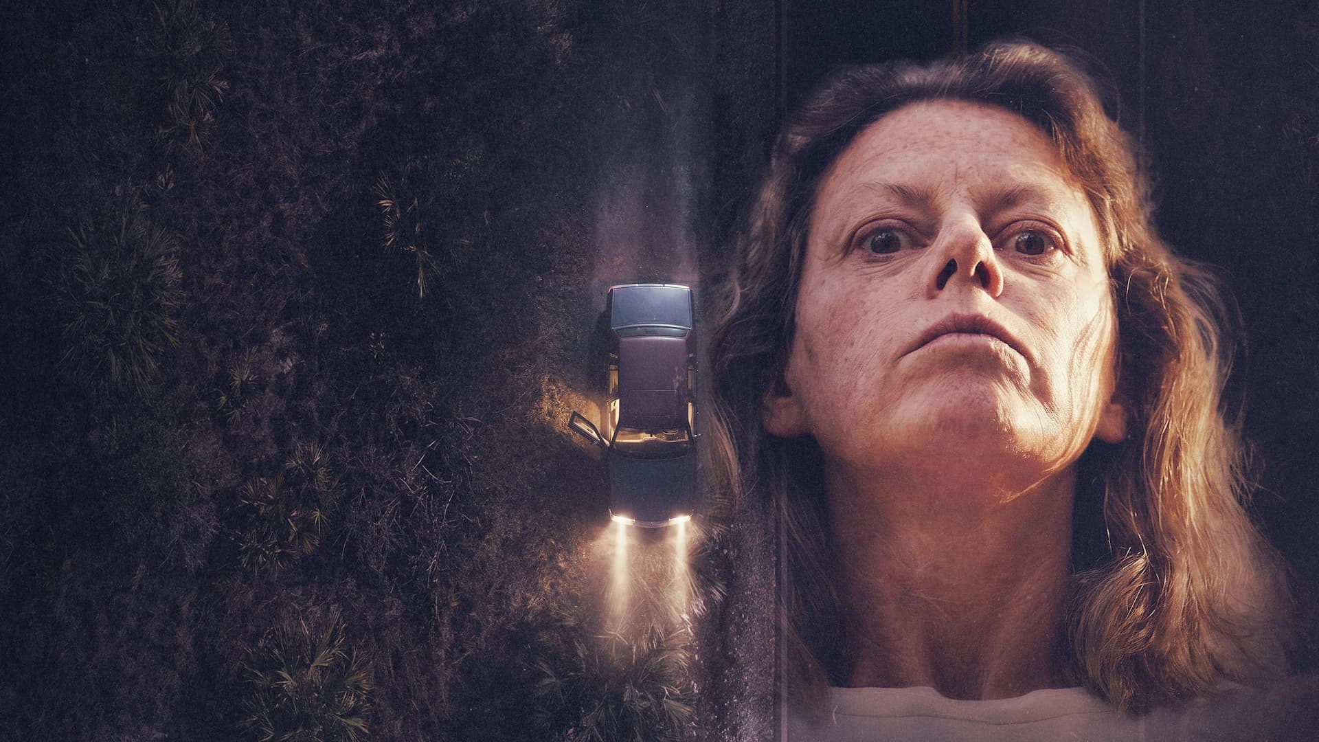 Bir Canavarın Gerçek Yüzü: Aileen Wuornos