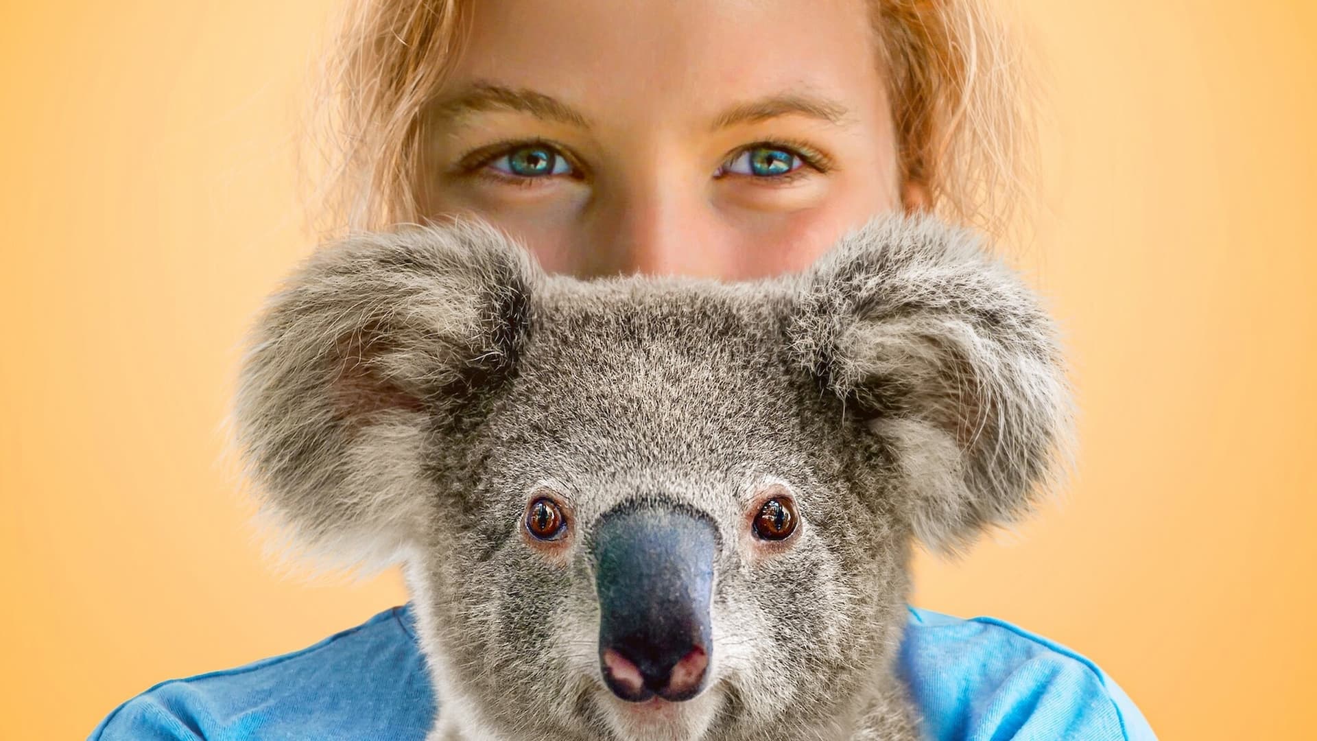 Izzy'nin Koala Dünyası