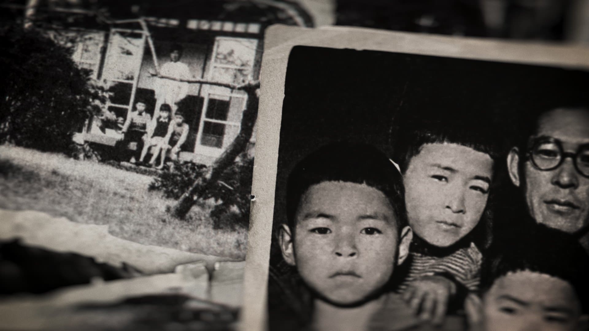 Miyazaki, l'esprit de la nature