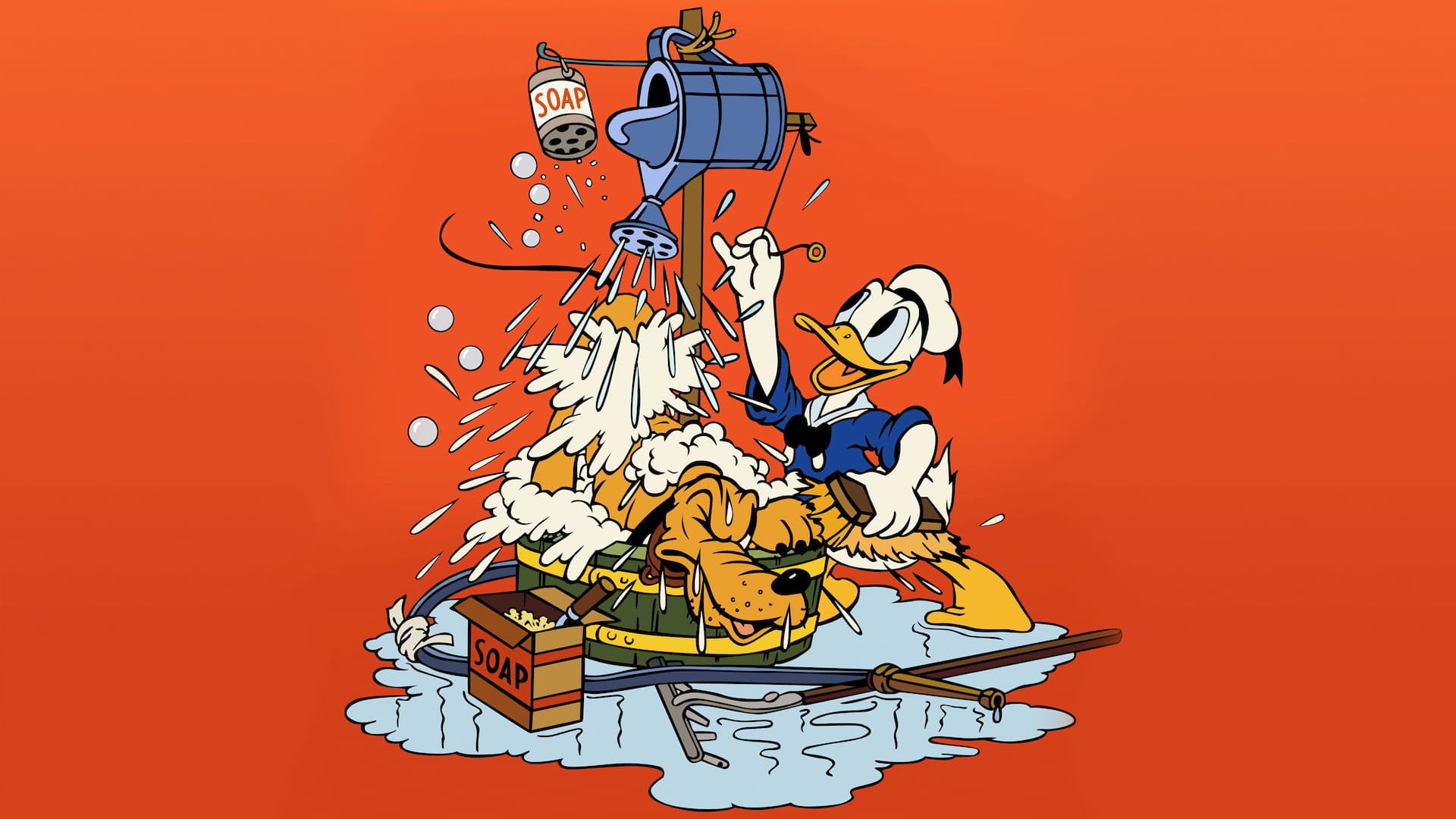Donald'ın Köpek Çamaşırhanesi