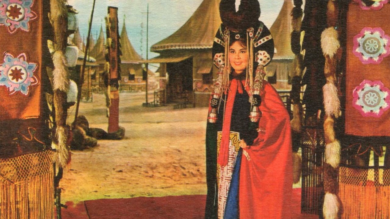 Wang zhao jun