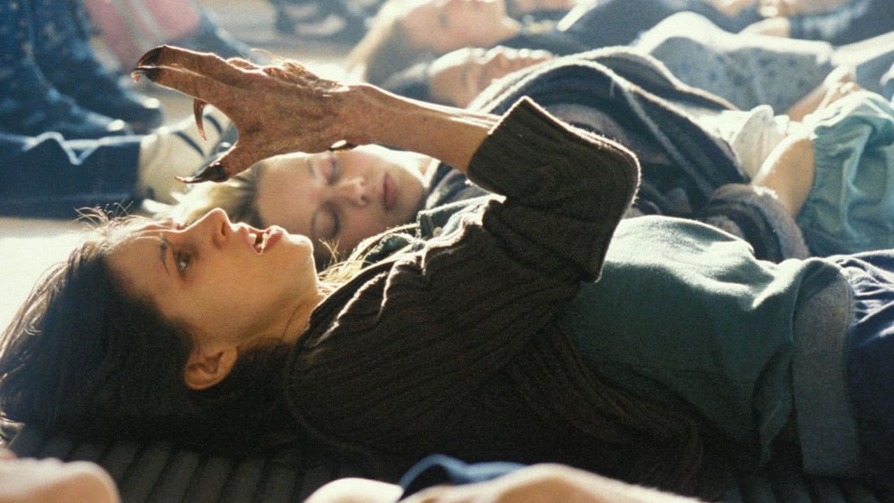 Kurtkızlar Serbest Kaldı