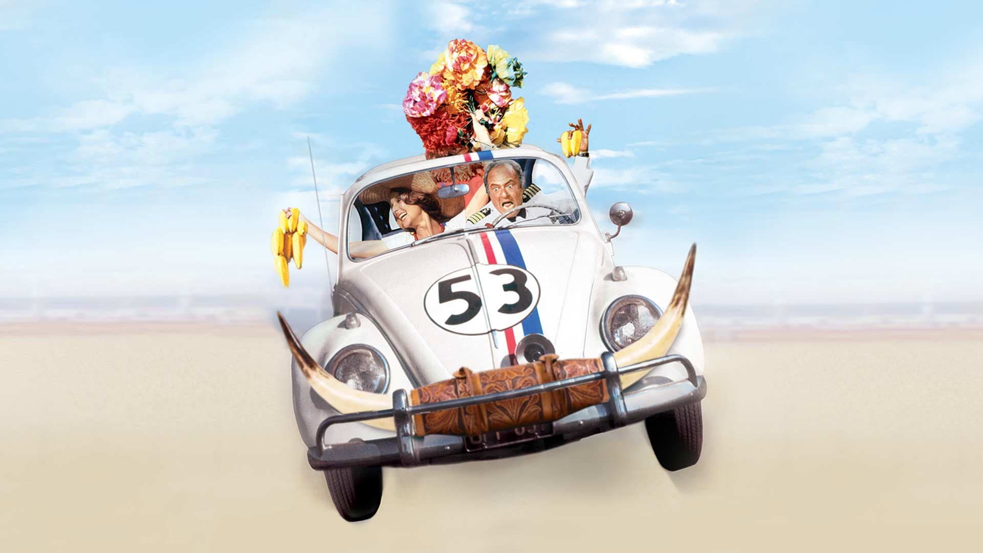 Herbie Muza Gidiyor