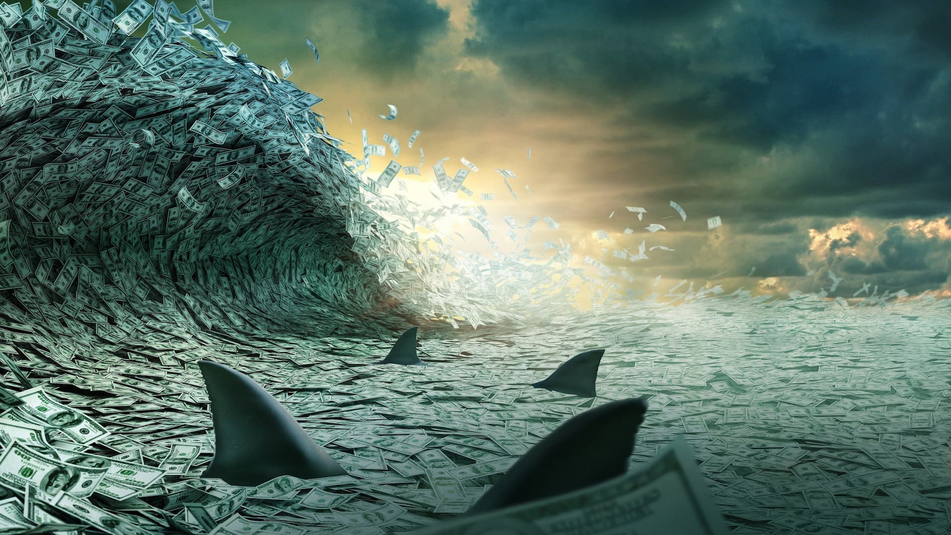 Köpekbalığı Tankı