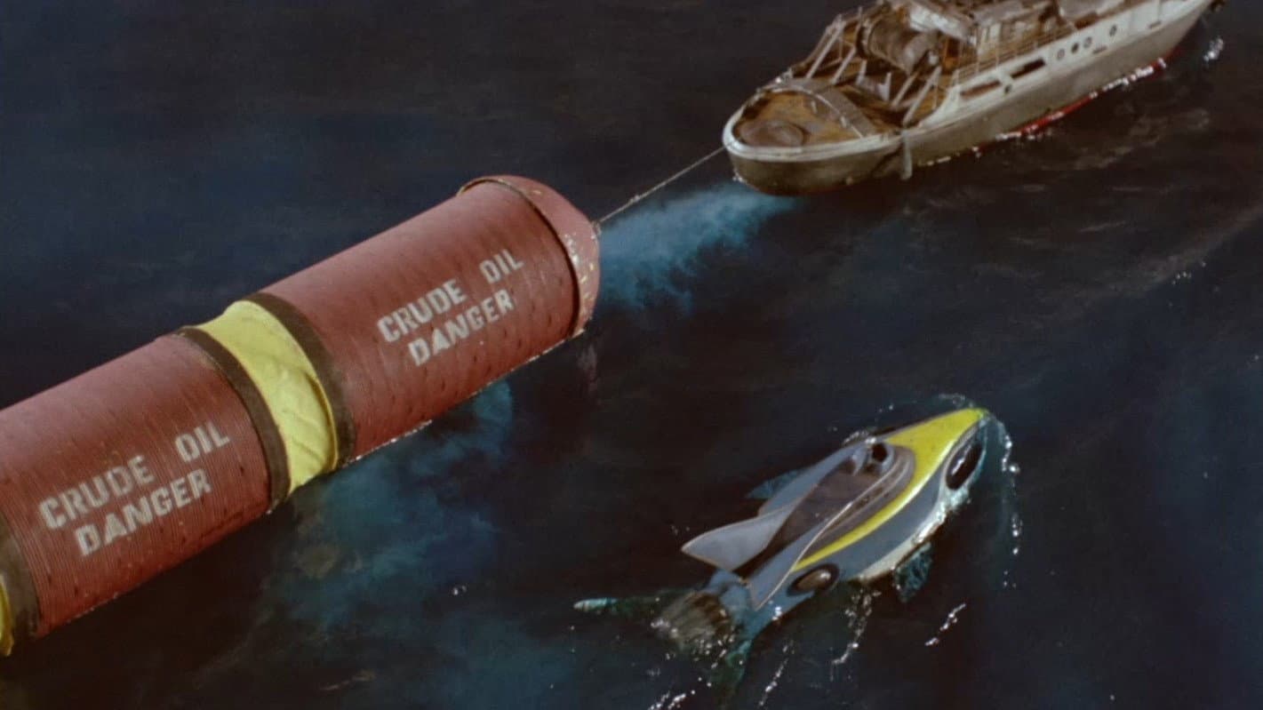 Stingray: An Echo of Danger